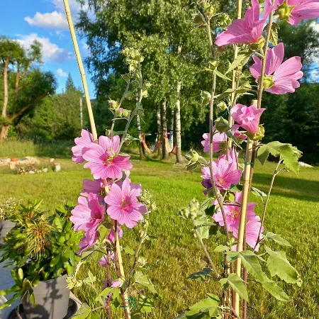 Chwila Moment - Dom W Okolicy Czarnej Gory, Nad Rzeka Tatil Evi *