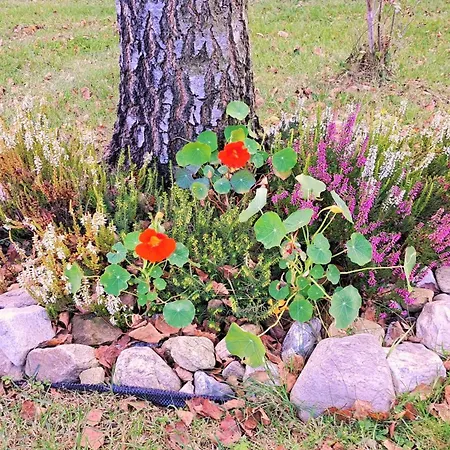 Chwila Moment - Dom W Okolicy Czarnej Gory, Nad Rzeka Tatil Evi