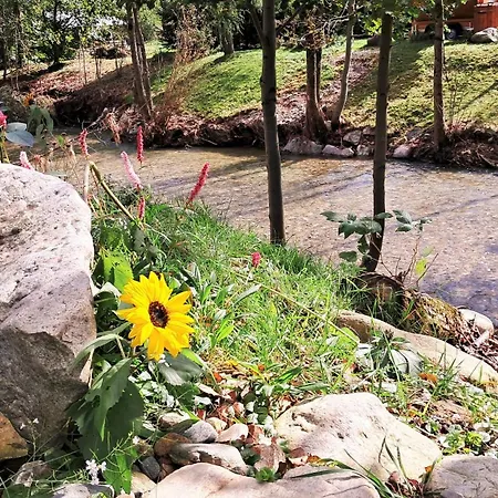 Holiday home Chwila Moment - Dom W Okolicy Czarnej Gory, Nad Rzeka Stronie Slaskie