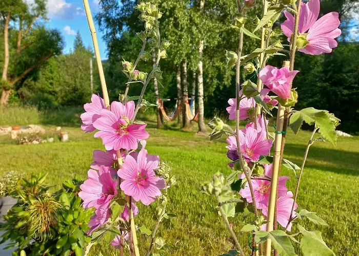 Chwila Moment - Dom W Okolicy Czarnej Gory, Nad Rzeka Holiday home *