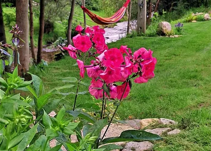 بيت للعطل Chwila Moment - Dom W Okolicy Czarnej Gory, Nad Rzeka Stronie Śląskie